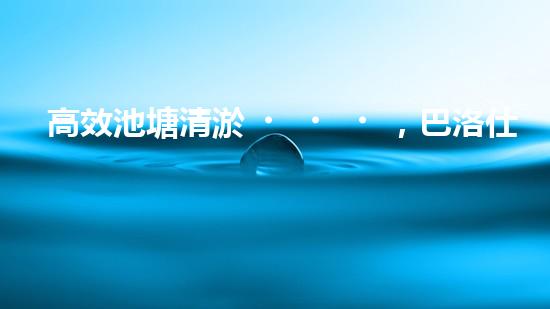 高效池塘清淤，巴洛仕設(shè)備助您一臂之力